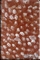 Yellowish Brown Pattern Acrylic Sheet For Furniture Crafts