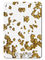 Golden Foil Cloth Texture Design Acrylic Sheet 3mm Panel Board Crack Resistant